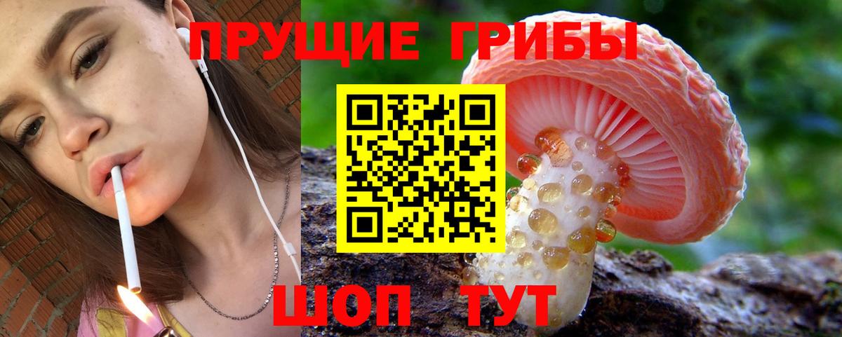 Псилоцибиновые грибы ЛСД Кропоткин